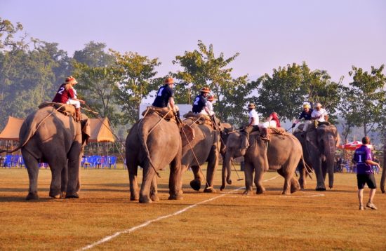 elephant-polo-in-nepal