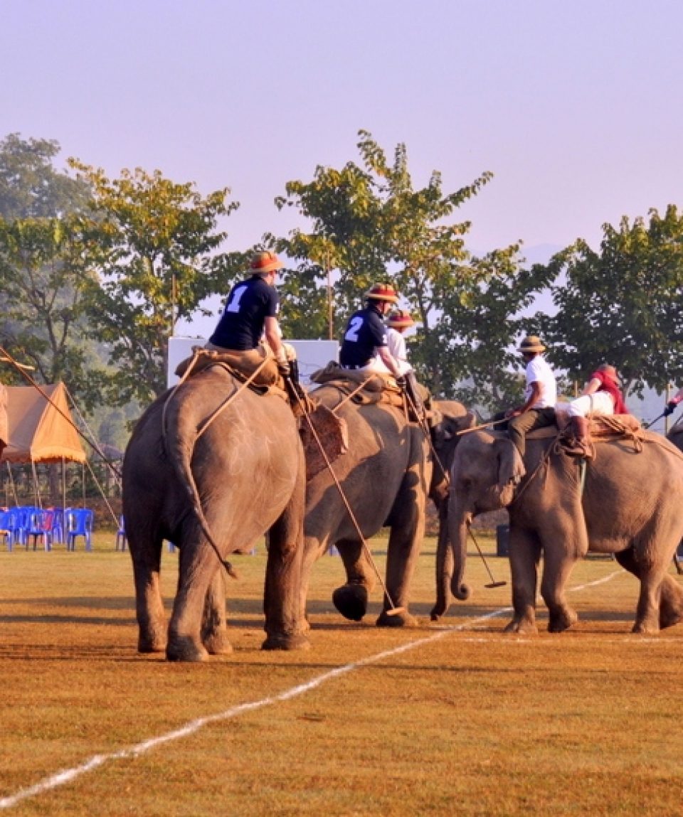 elephant-polo-in-nepal