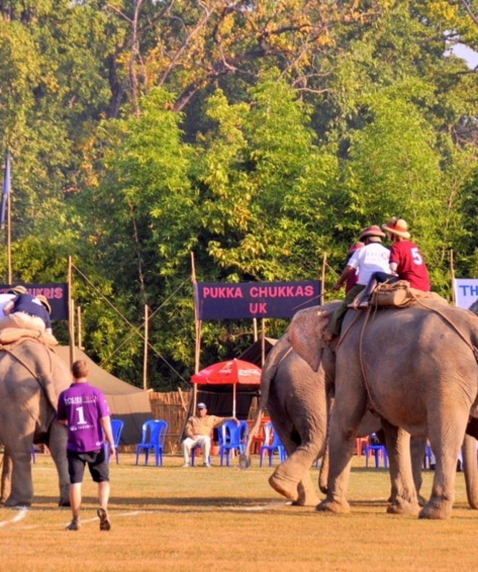 elephant-polo-in-nepal-chitwan