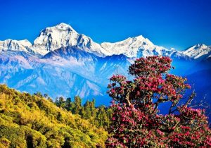 views-in-nepal-trekking