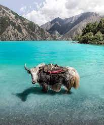 Shey-phoksundo-national-park-nepal